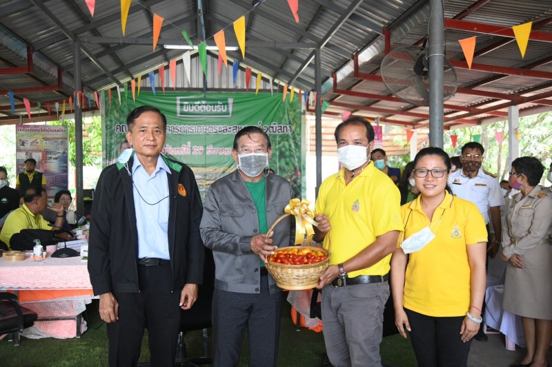 29 March 2021, at Young Smart Farmer Center and Community Enterprise, U-thong Banana Farm, Suphan Buri Province